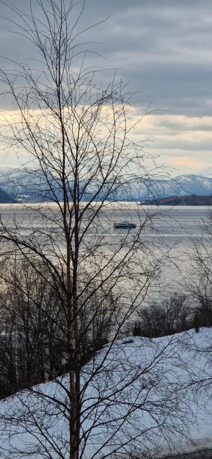 Frydenlund Villa Balestrand Eksteriør billede